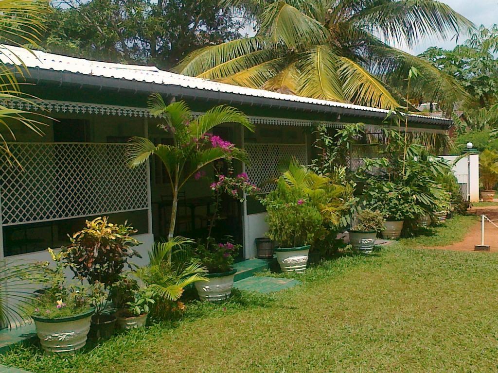 Levi'S Tourist - Anuradhapura Hotel Exterior photo